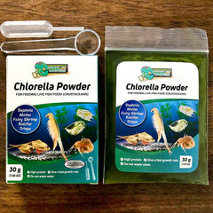 GREEN WATER FARM chlorella powder measuring scoop enabling precise crustacean portions