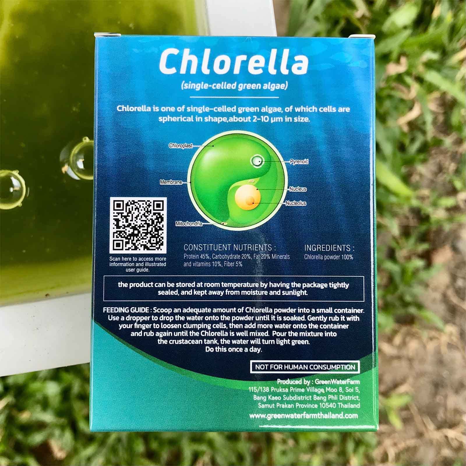 GREEN WATER FARM chlorella powder texture close-up showing fine high-concentration feed