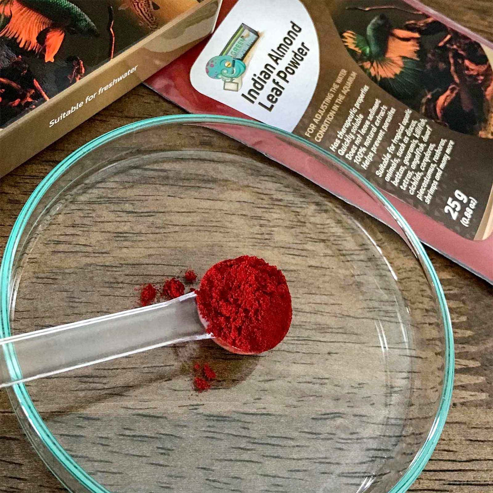 Green Water Farm concentrated Indian almond leaf powder dosage illustration suggests simple use.