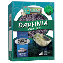 Green Water Farm Daphnia magna eggs packaging shown for fresh live fish nutrition