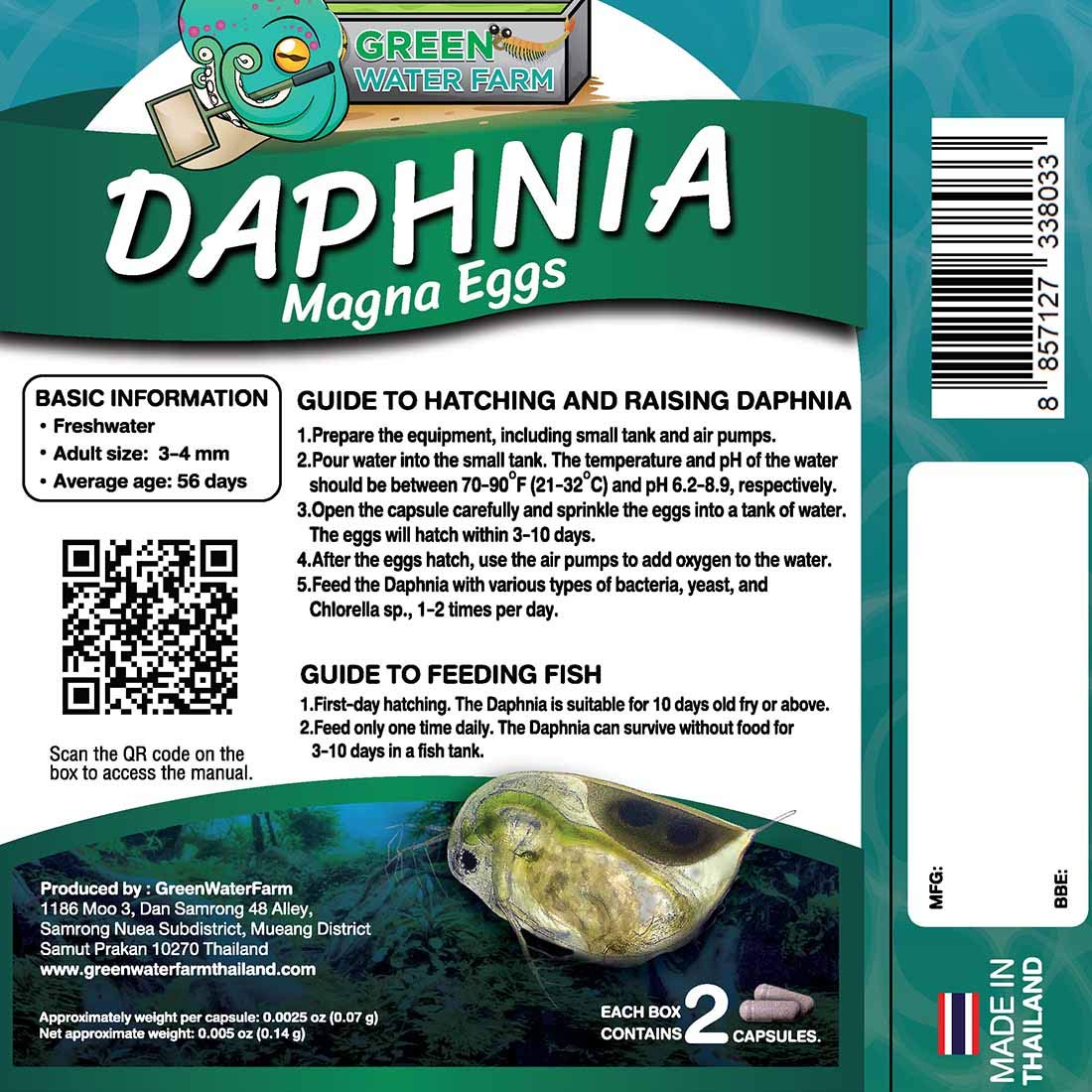 Green Water Farm Daphnia magna eggs under microscope for hatchling culture