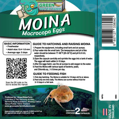 Green Water Farm Moina macrocopa eggs hatching tank emphasizes live culture for bettas.