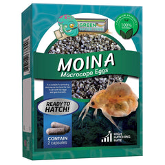 Green Water Farm Moina macrocopa eggs packaging shows natural starter feed for healthy fish growth.
