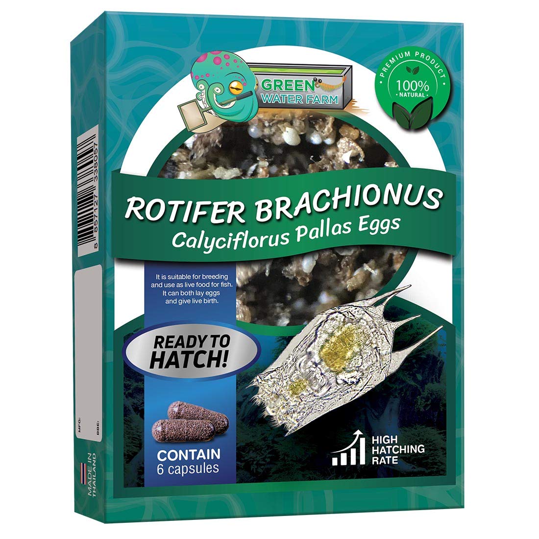 GREEN WATER FARM rotifers eggs in container for natural hatching fry feeding