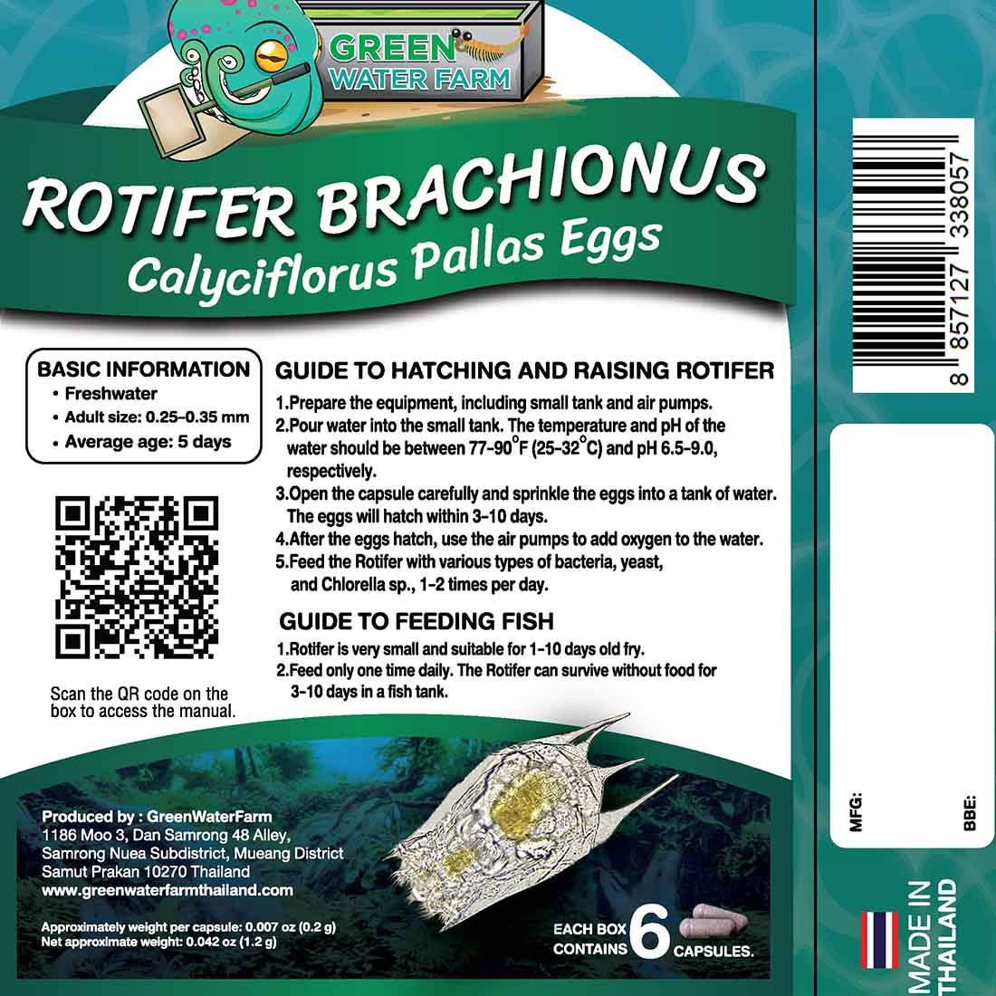 GREEN WATER FARM rotifers culture setup showing live feeding for fry growth