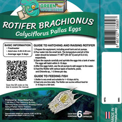 GREEN WATER FARM rotifers culture setup showing live feeding for fry growth