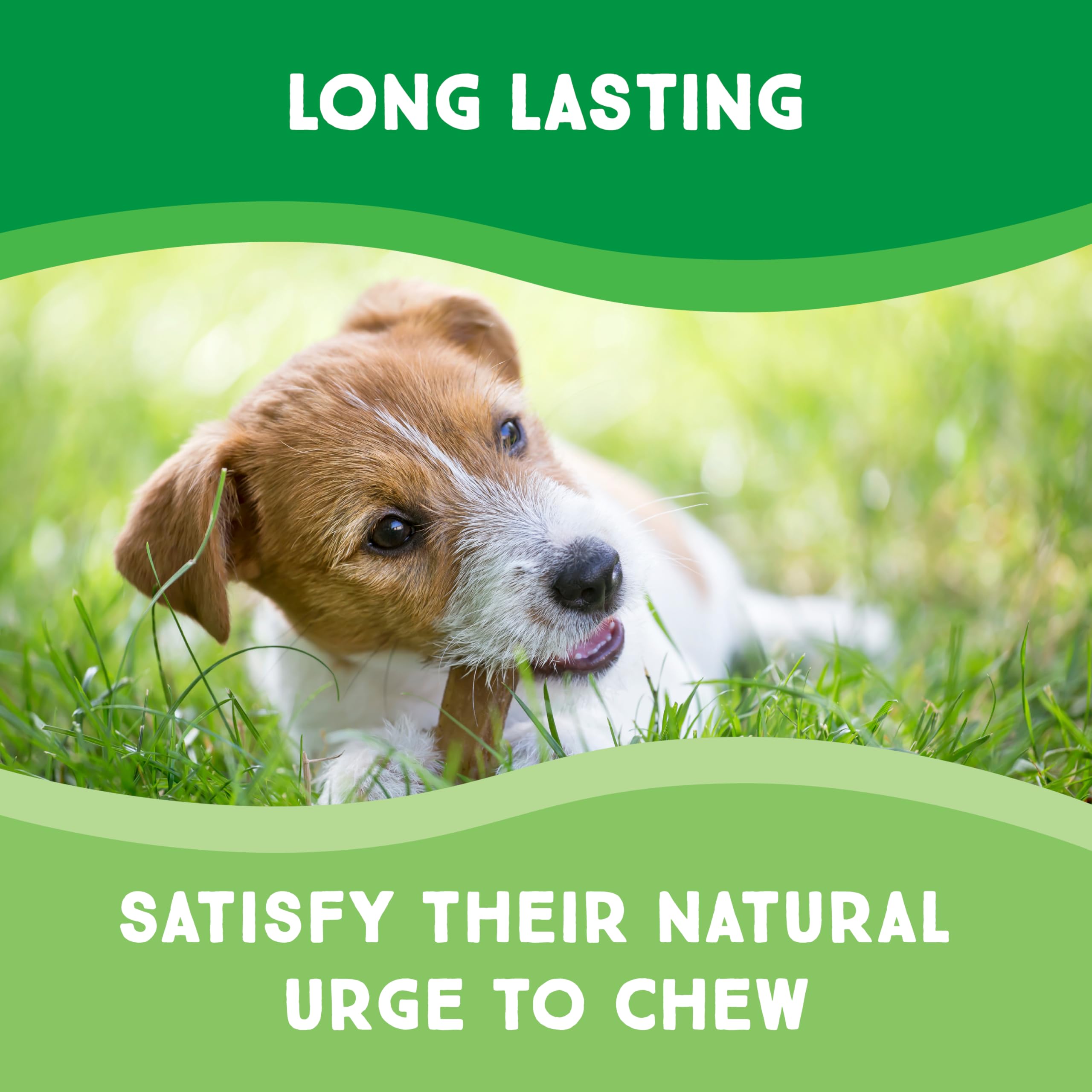GreenCow Rawhide Chips large-dog chew offers a long-lasting option for bigger breeds.
