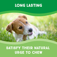 GreenCow Rawhide Chips packaging bulk indicates steady supply for households with multiple dogs.