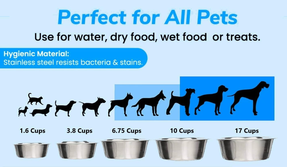 Greendale 4-pack bowls used for dry kibble meals in family kitchen