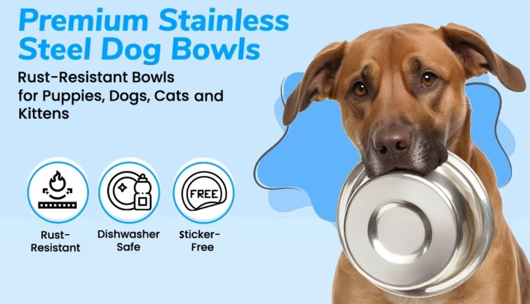 Greendale stainless steel dog bowl closeup capacity 6.75 cups per bowl