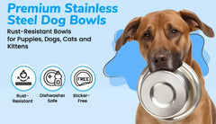 Greendale stainless steel dog bowl closeup capacity 6.75 cups per bowl