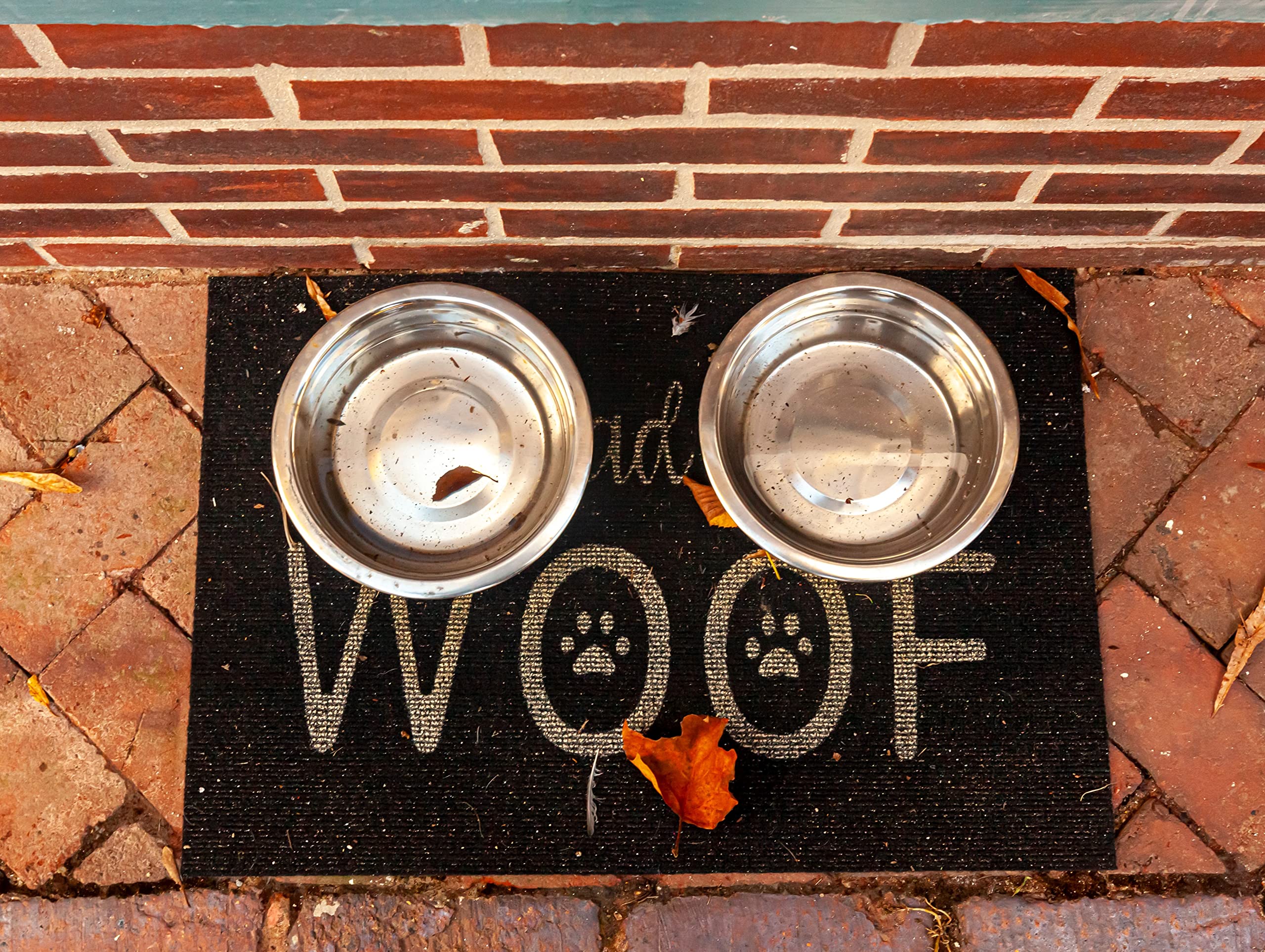 Greendale stainless steel dog bowl used for water and hydration