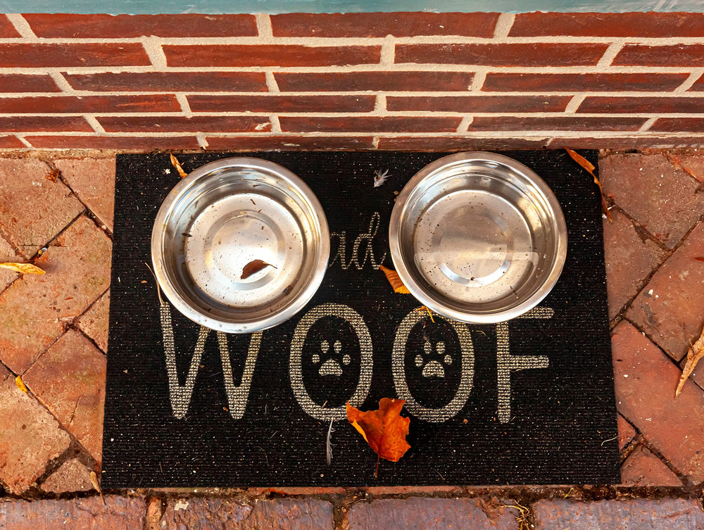 Greendale stainless steel dog bowl used for water and hydration