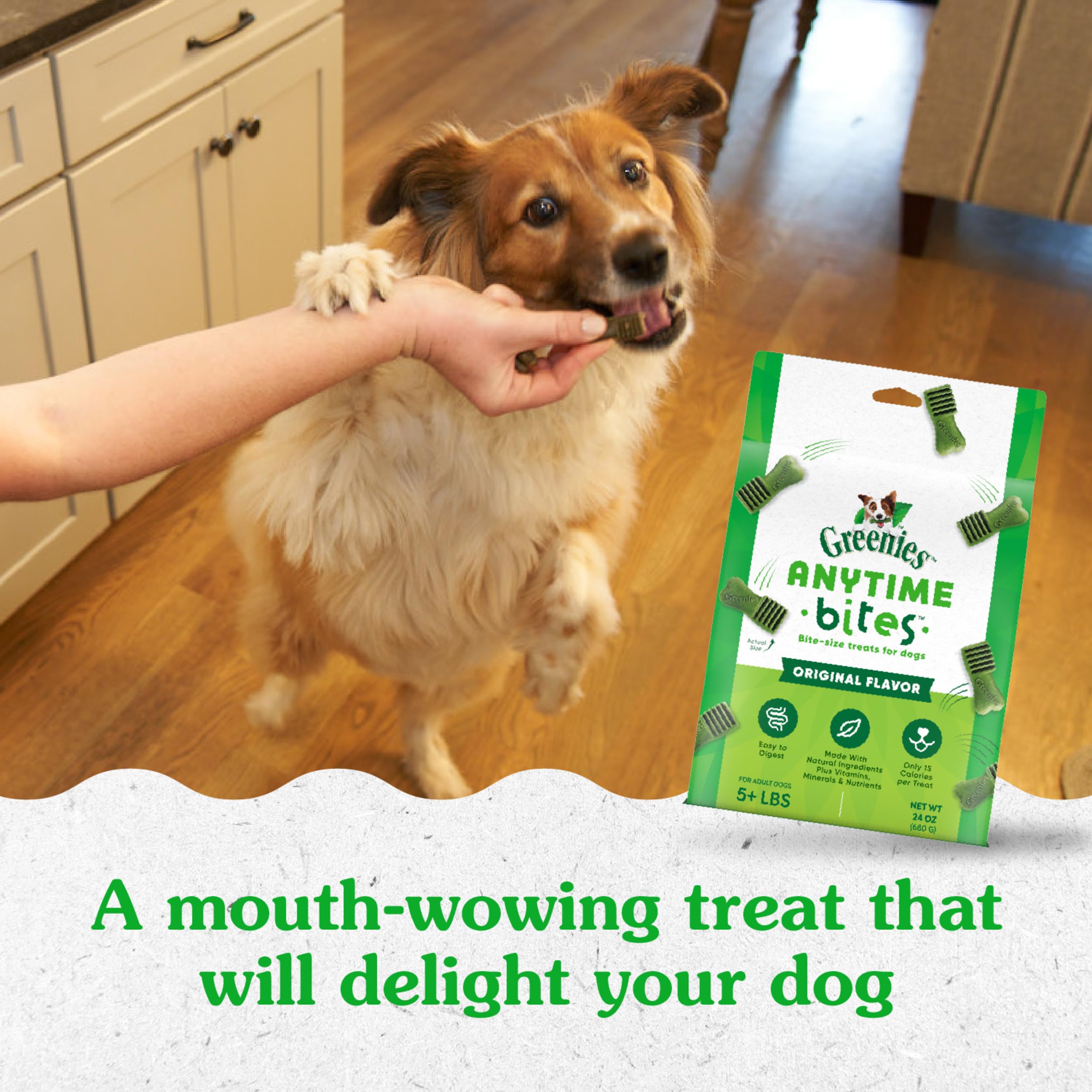 Greenies Anytime Bites bag open – scene showing quick training or snack moment.