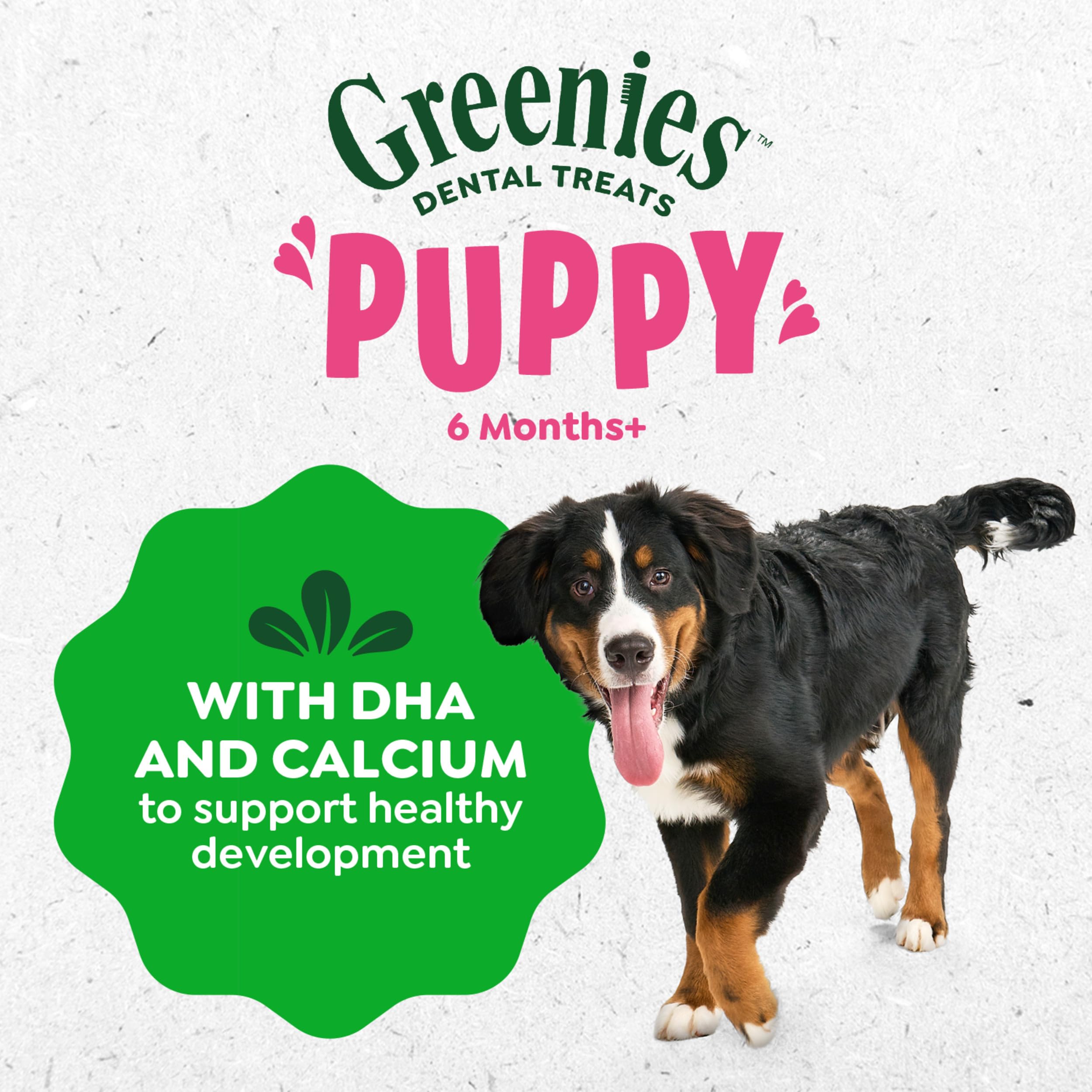 Greenies Dental Puppy Treats Teenie rawhide-free design signals safe chewing.