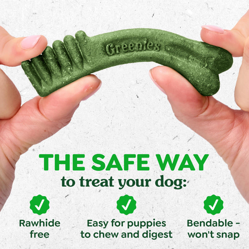 Greenies Dental Puppy Treats Teenie DHA brain development detail highlights puppy growth support.