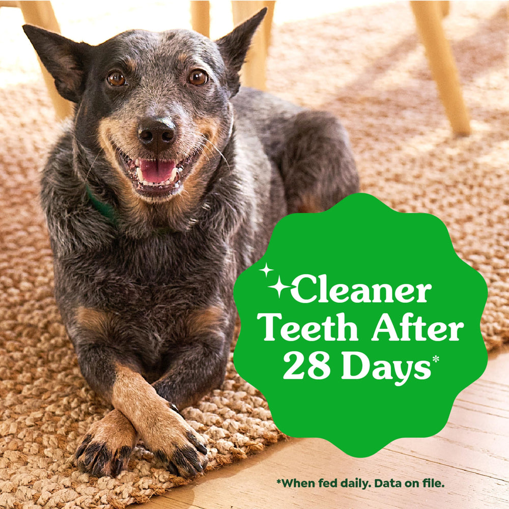 Greenies Dental Puppy Treats Teenie pack open shows convenient 12 oz bag for daily dental care.