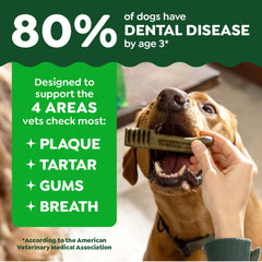 Greenies Dental Puppy Treats Teenie puppy chew demonstrates puppy-friendly bite for easy consumption.