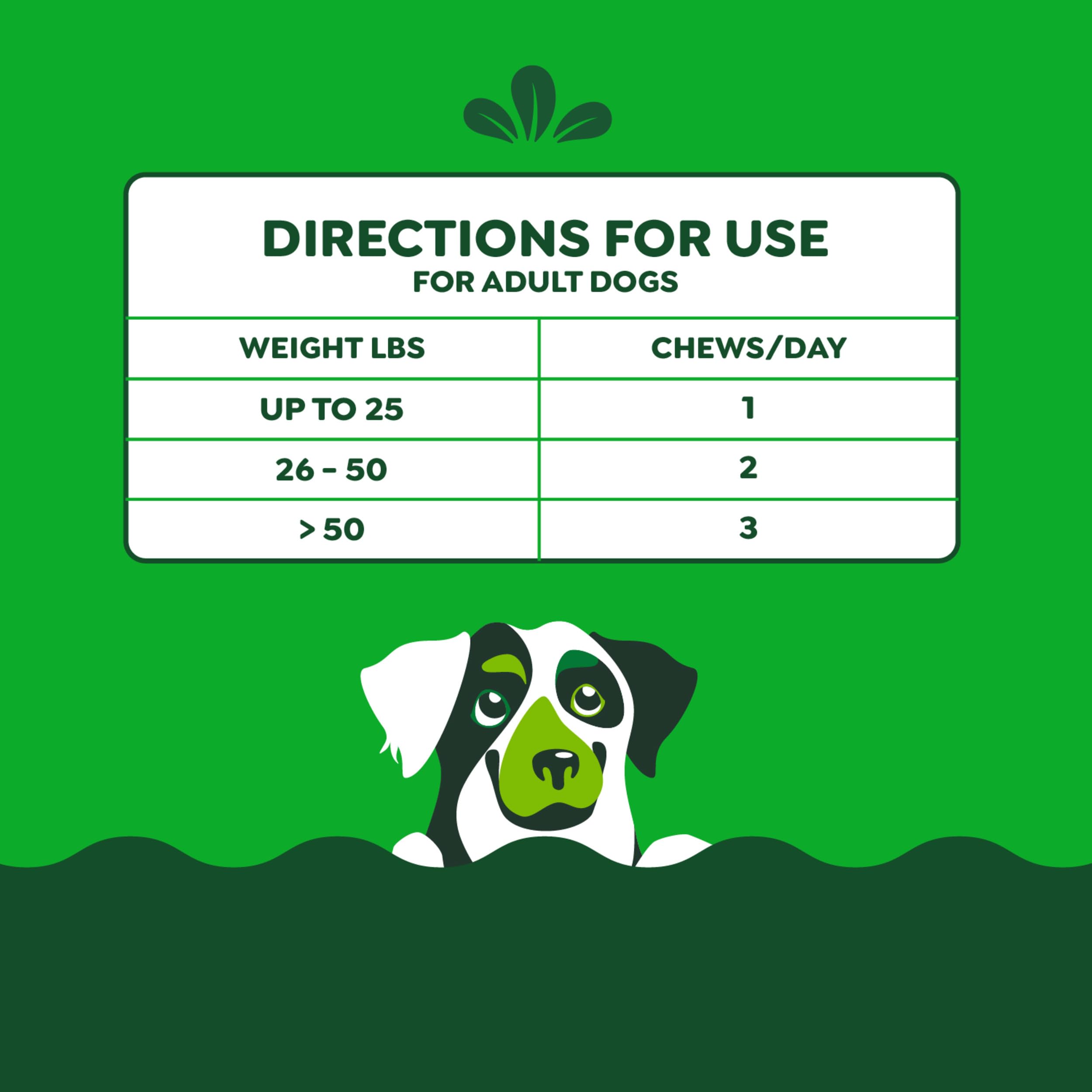 Greenies Digestive Stool-Quality support visual suggests balanced digestion in dogs.