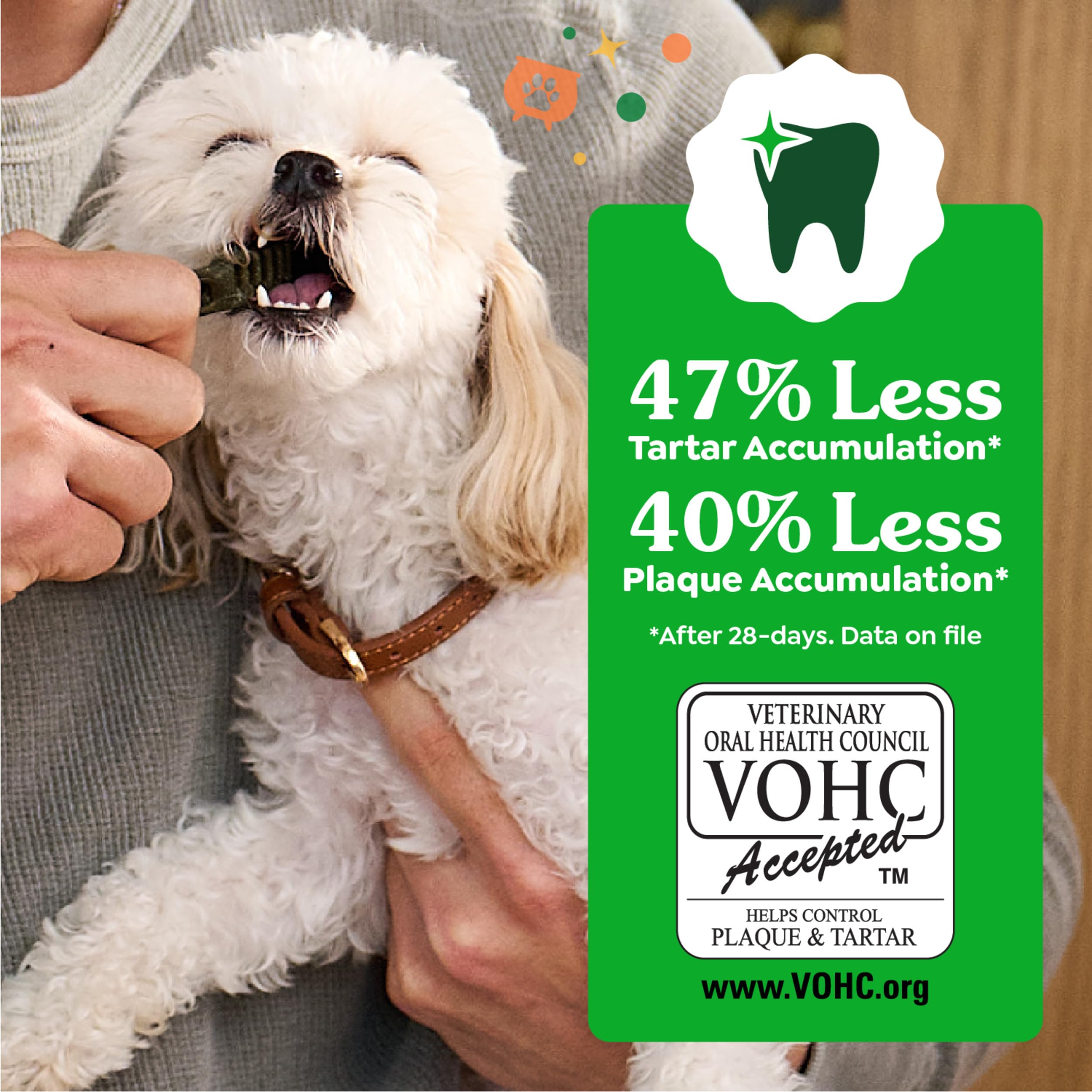 Greenies dental care bundle on shelf illustrating daily dog routine.