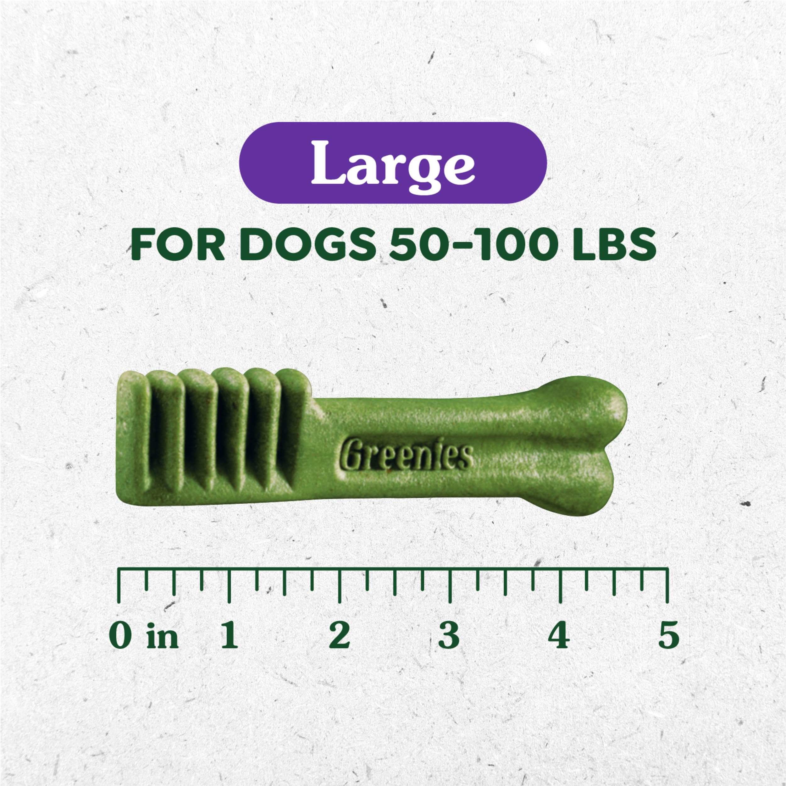 Greenies Original Large Dental Treats dog treats oral-care arch closeup demonstrates vet-recommended care