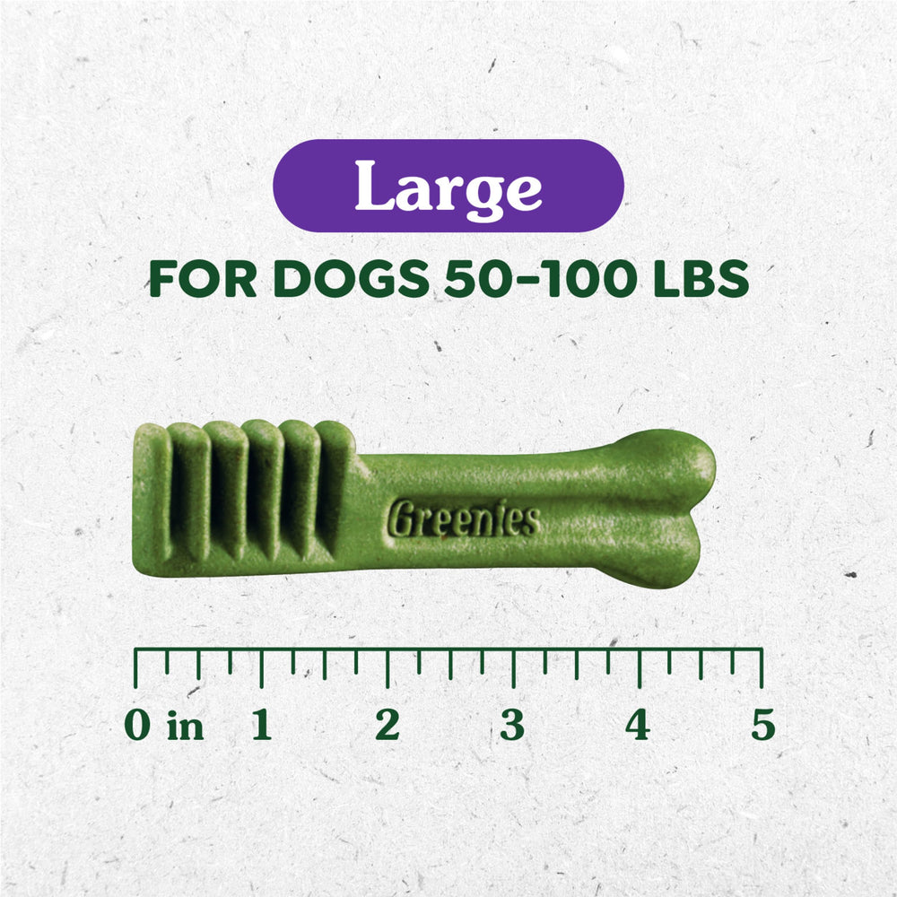 Greenies Original Large Dental Treats dog treats oral-care arch closeup demonstrates vet-recommended care
