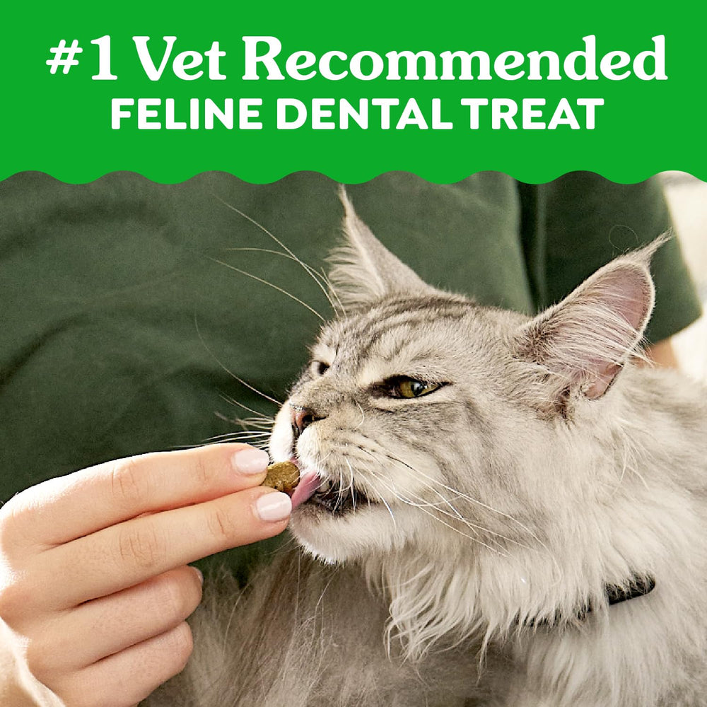 Greenies feline catnip flavor close-up illustrating irresistible taste