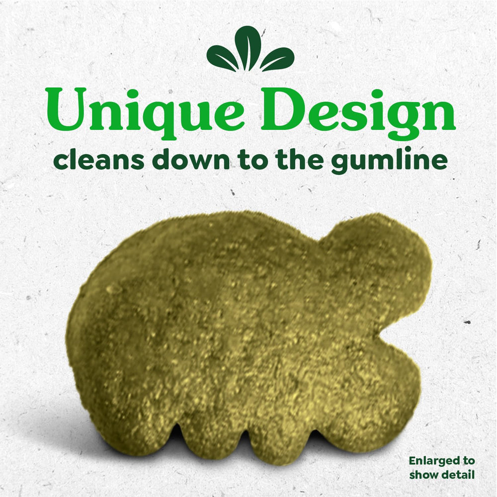 Greenies cat enjoying treat to support daily dental care routine.