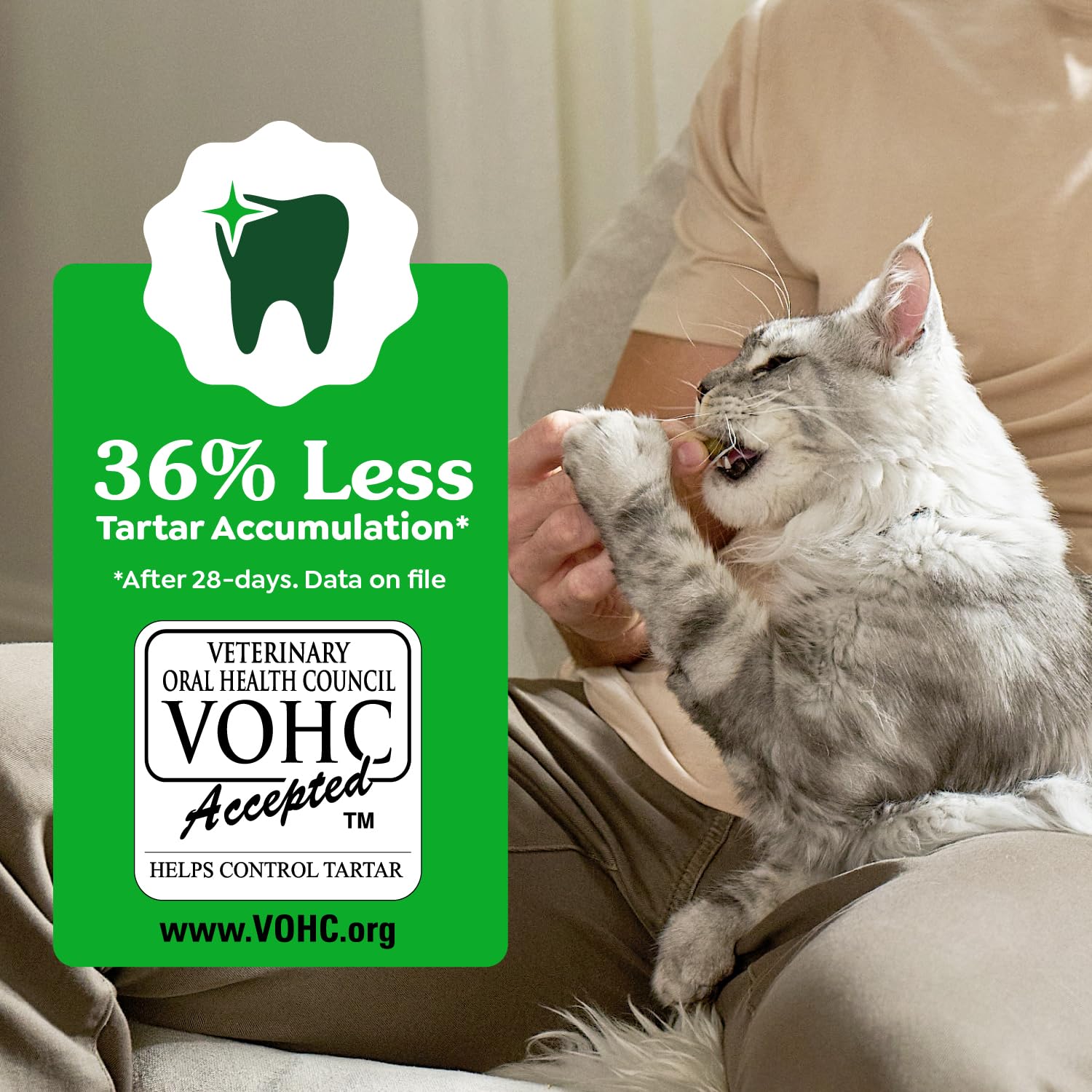 Greenies crunch texture close-up demonstrates toothbrush-like design for gumline cleaning.