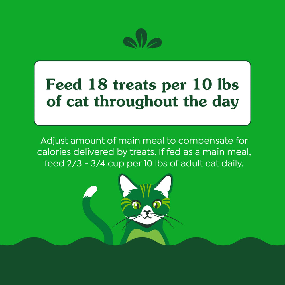 Greenies with Fiberblend supports healthy digestion when enjoyed as a snack.