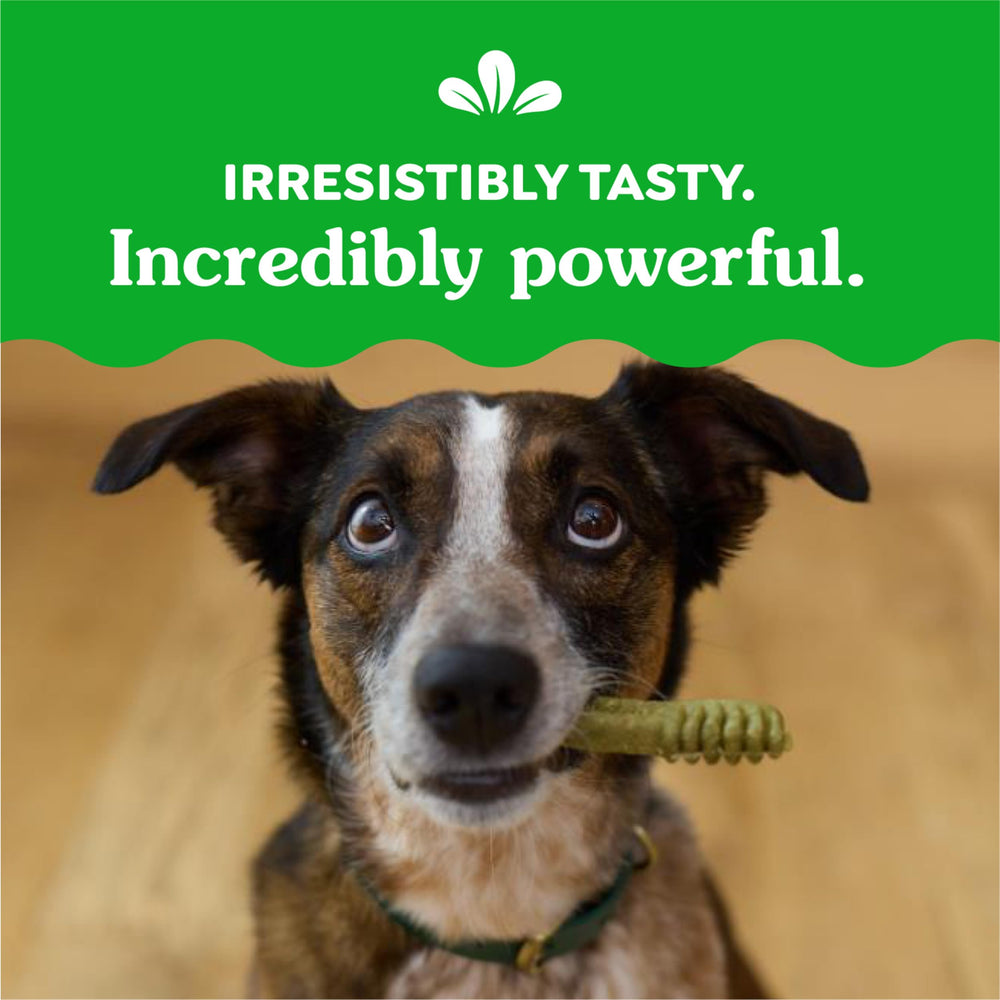 Greenies label highlights highly soluble ingredients for safe digestion.