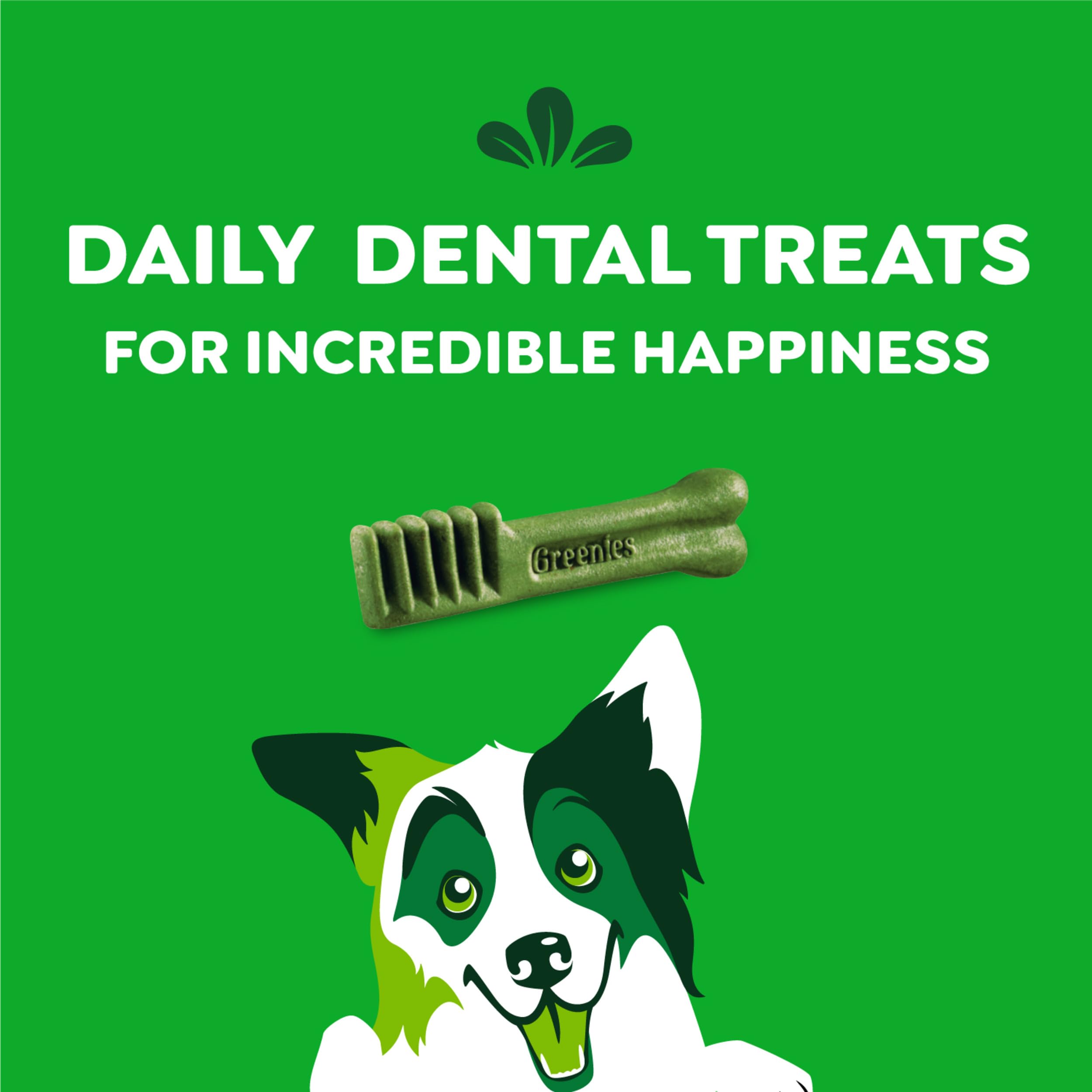Four-pack display of Greenies Original highlights value for daily dental care.