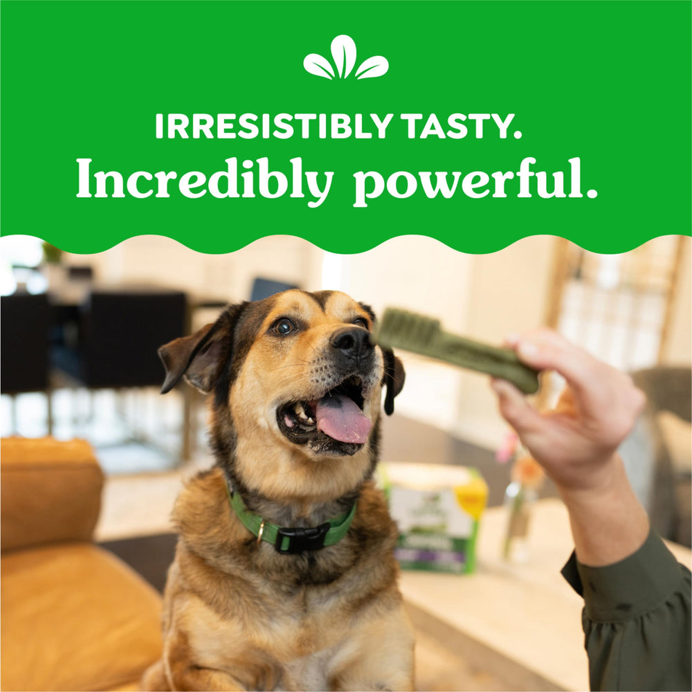 Greenies Original Large Dental Treats VOHC-accepted packaging indicates vet-backed dental support