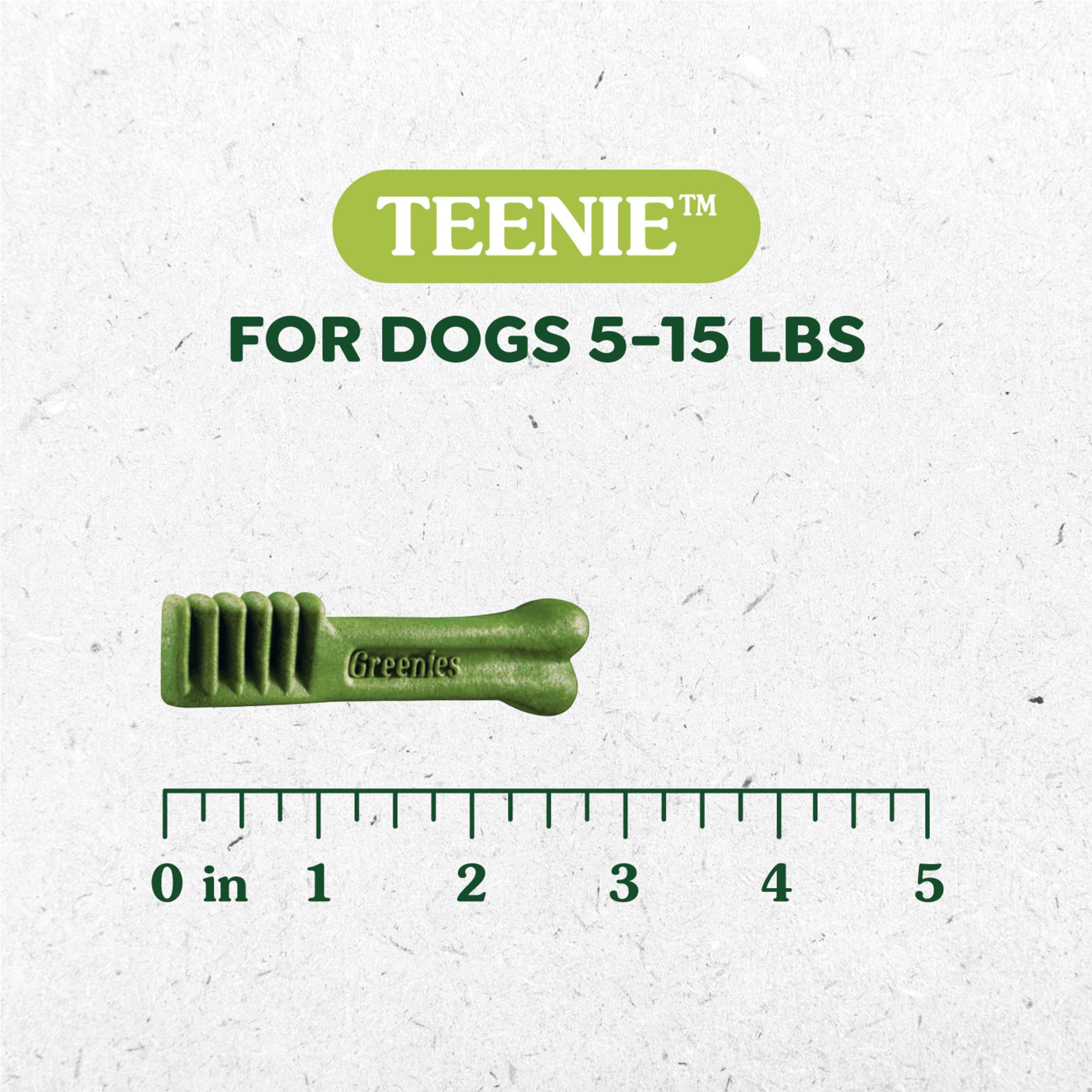 Greenies Original Teenie dental chews on plate highlight texture and flavor