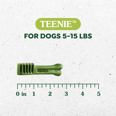 Greenies Original Teenie dental chews on plate highlight texture and flavor