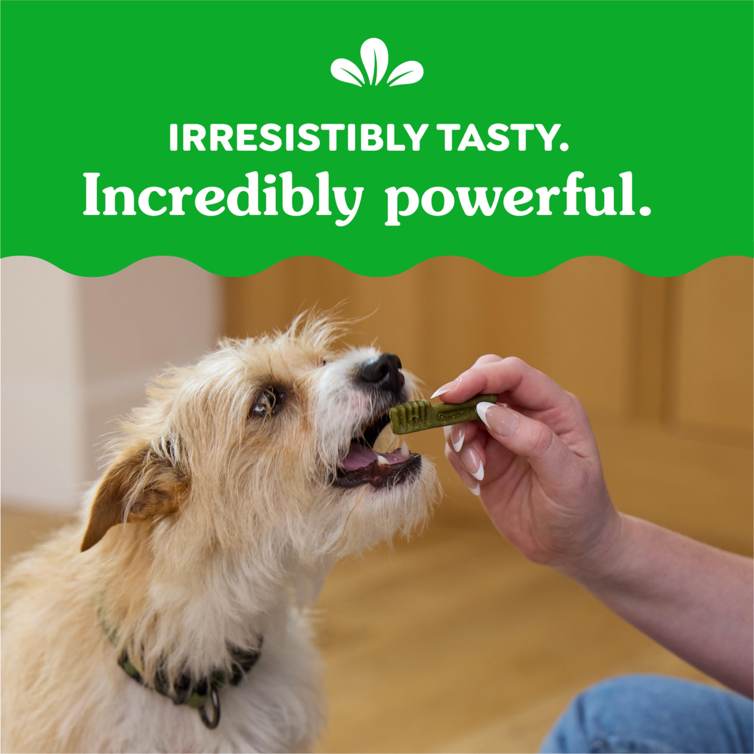 Greenies Original Teenie texture highlights fresh breath potential after chewing