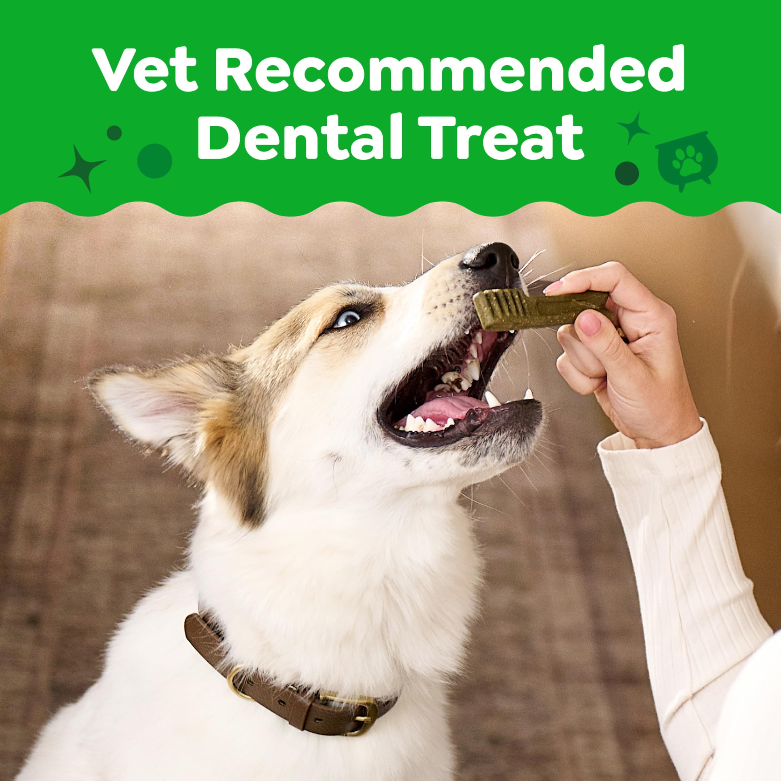 Greenies petite-size chews closeup highlighting chew texture for easy dental care.
