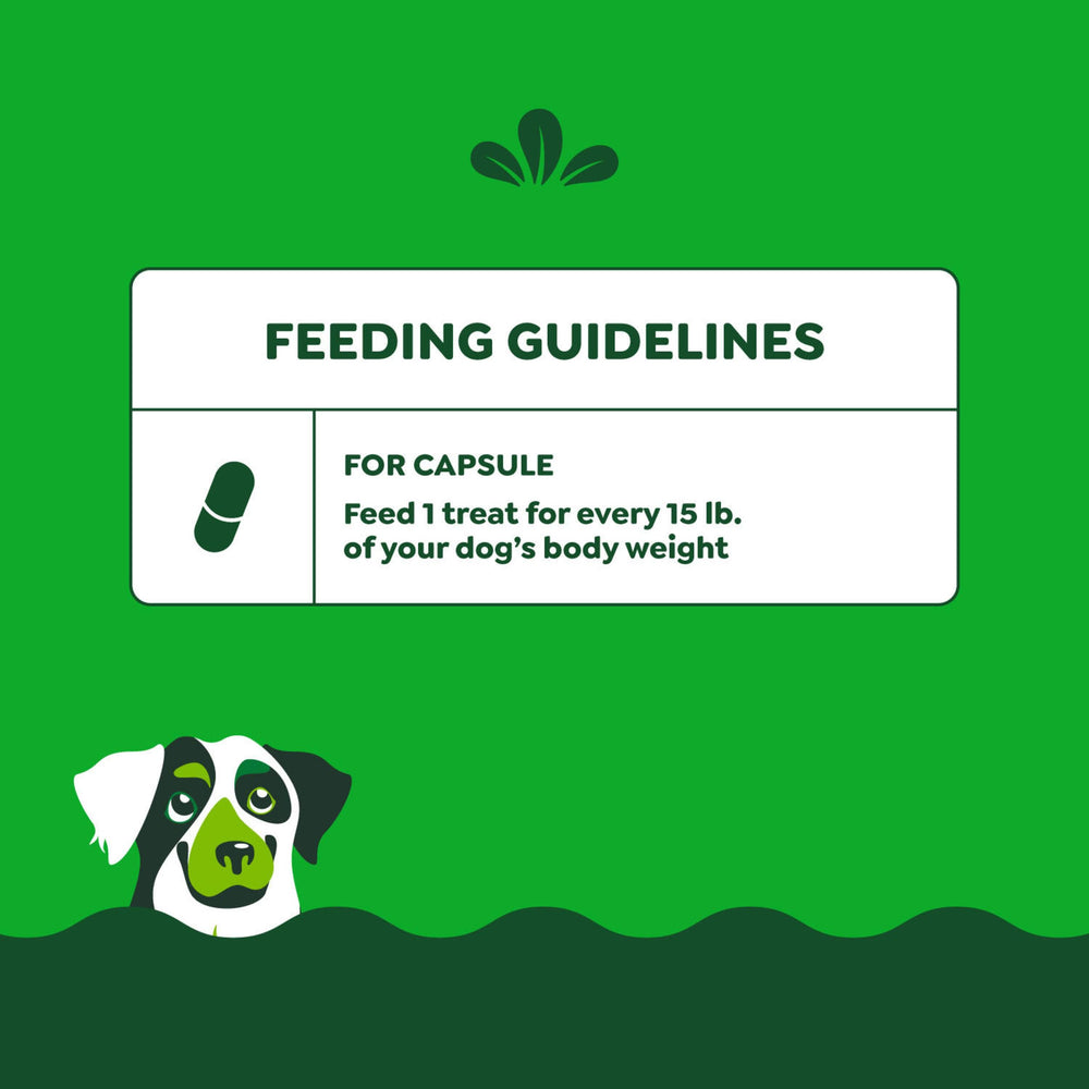 Greenies Pill Pockets pill-into-pouch closeup illustrates simple pinch-to-seal action.