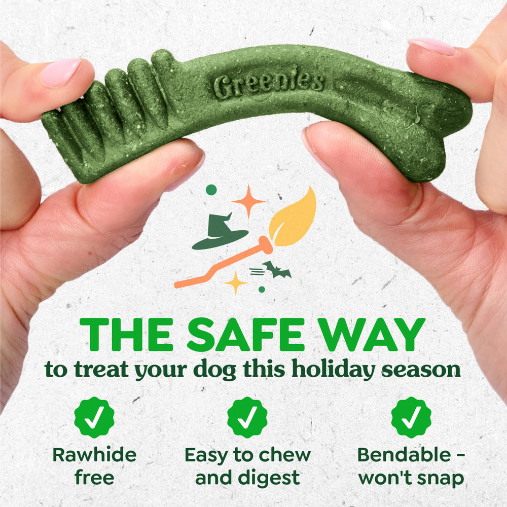Greenies rawhide-free chew promoting safe, bendable dental support.