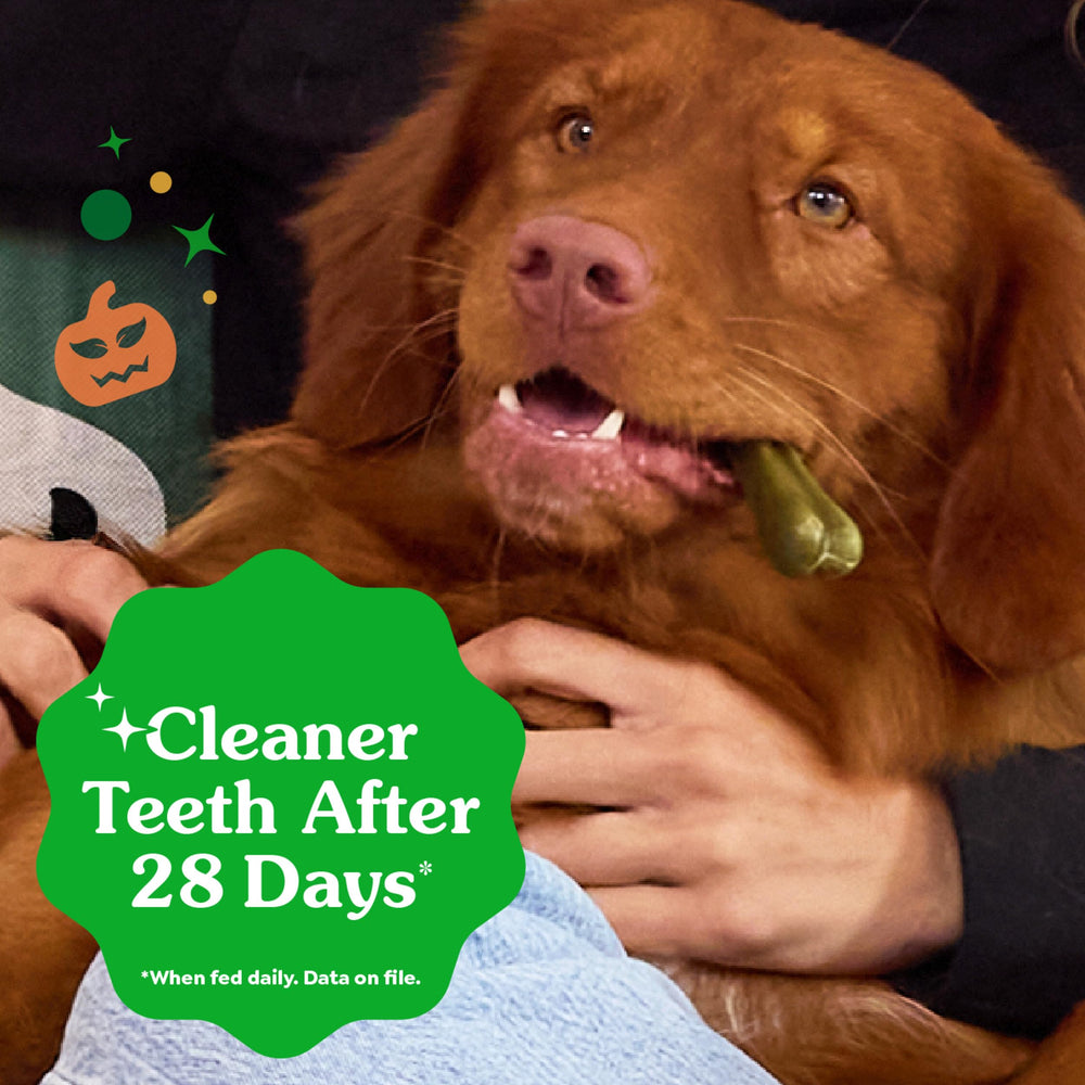 Greenies unique teeth-cleaning texture designed to reach the gumline.