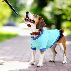 GreenJoy Classic Fleece Dog Sweater close-up fabric texture reveals soft polyester fleece