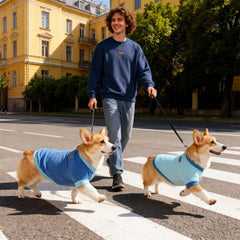 GreenJoy Classic Fleece Dog Sweater folded flat highlights compact storage