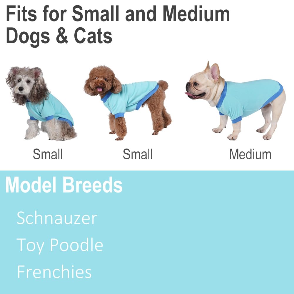 GreenJoy Classic Fleece Dog Sweater outdoors look shows layering for cold weather