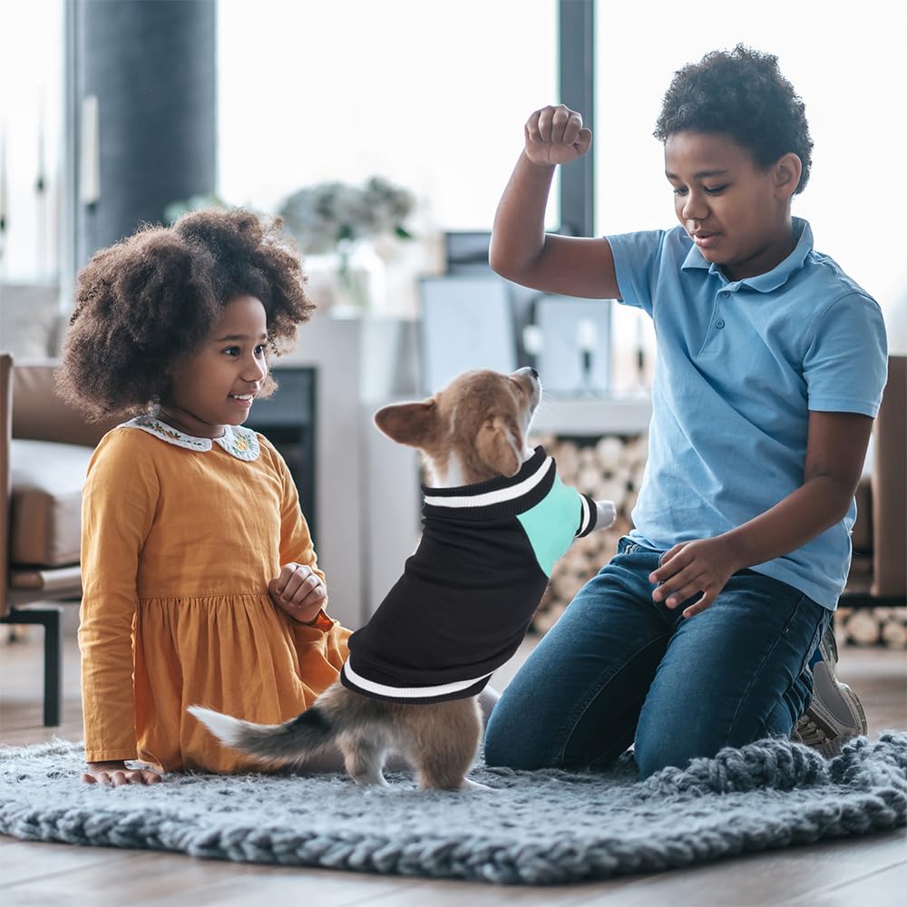 GreenJoy dog sweater available in black blue orange colors for versatile styling.