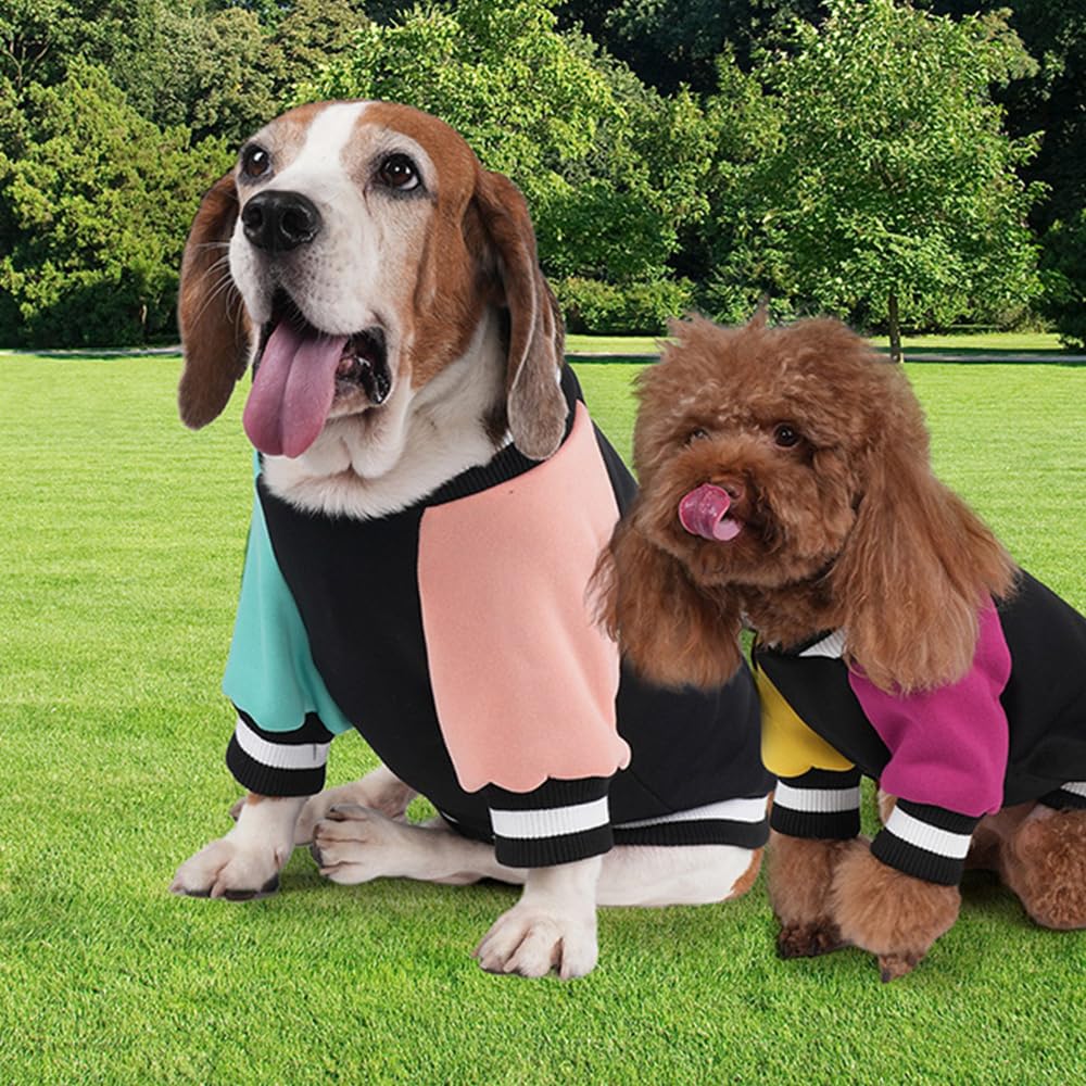 GreenJoy dog sweater suitable for puppies and adult dogs in cold weather.