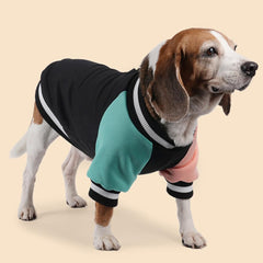 GreenJoy dog sweater with V-neck collar and back print for stylish flair.
