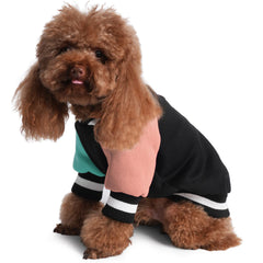 GreenJoy dog sweater showcases a warm fluffy interior for cozy warmth.
