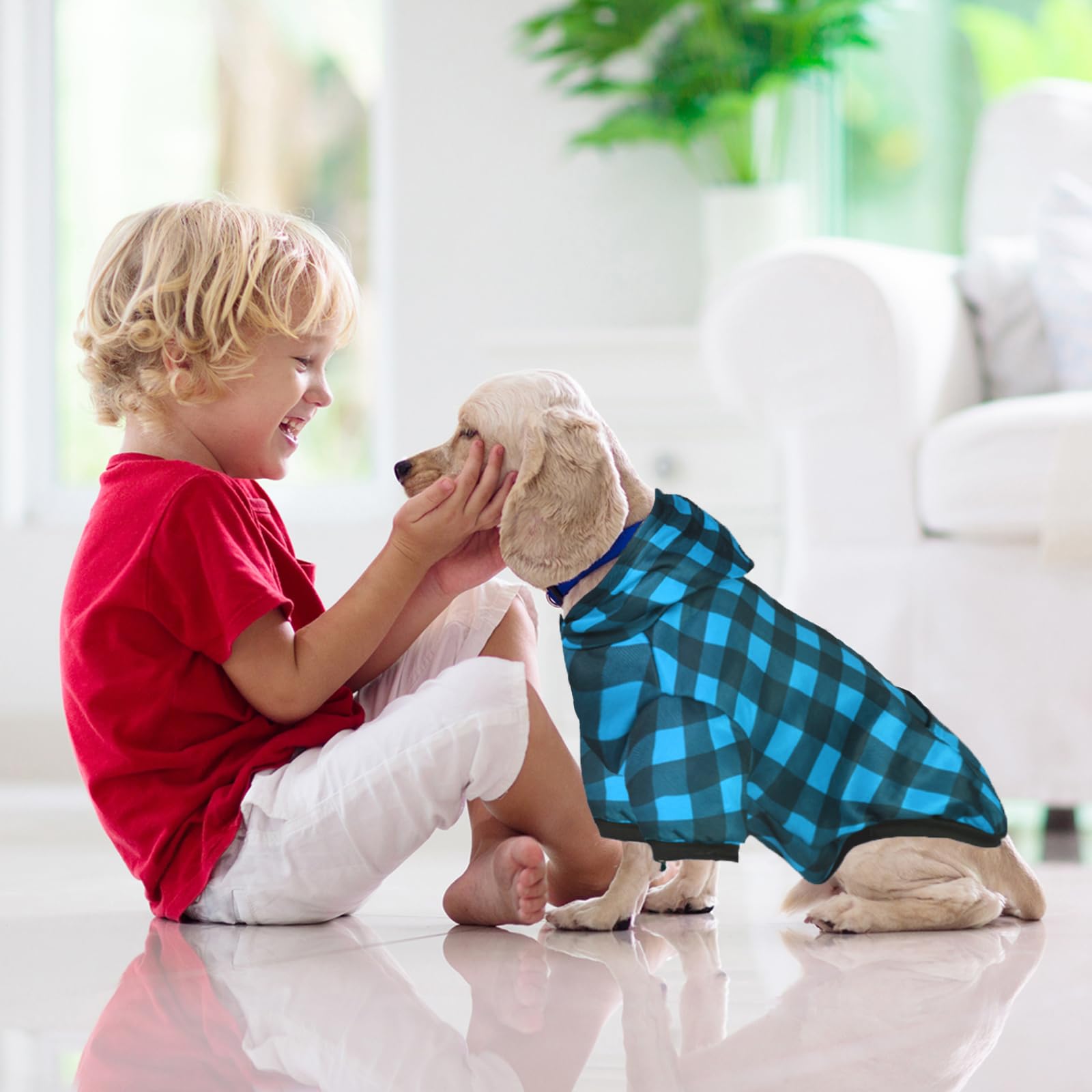 GreenJoy plaid dog sweater blue shown on XS size label for precise fit.
