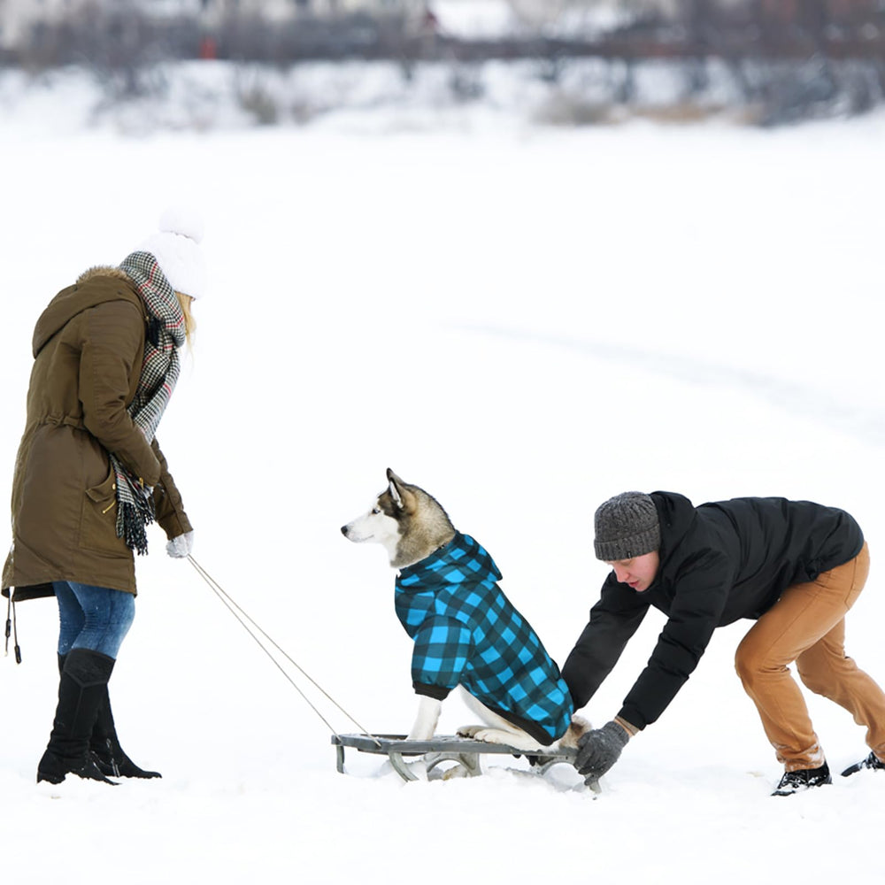 GreenJoy plaid dog sweater blue worn on a chilly walk during Christmas season.