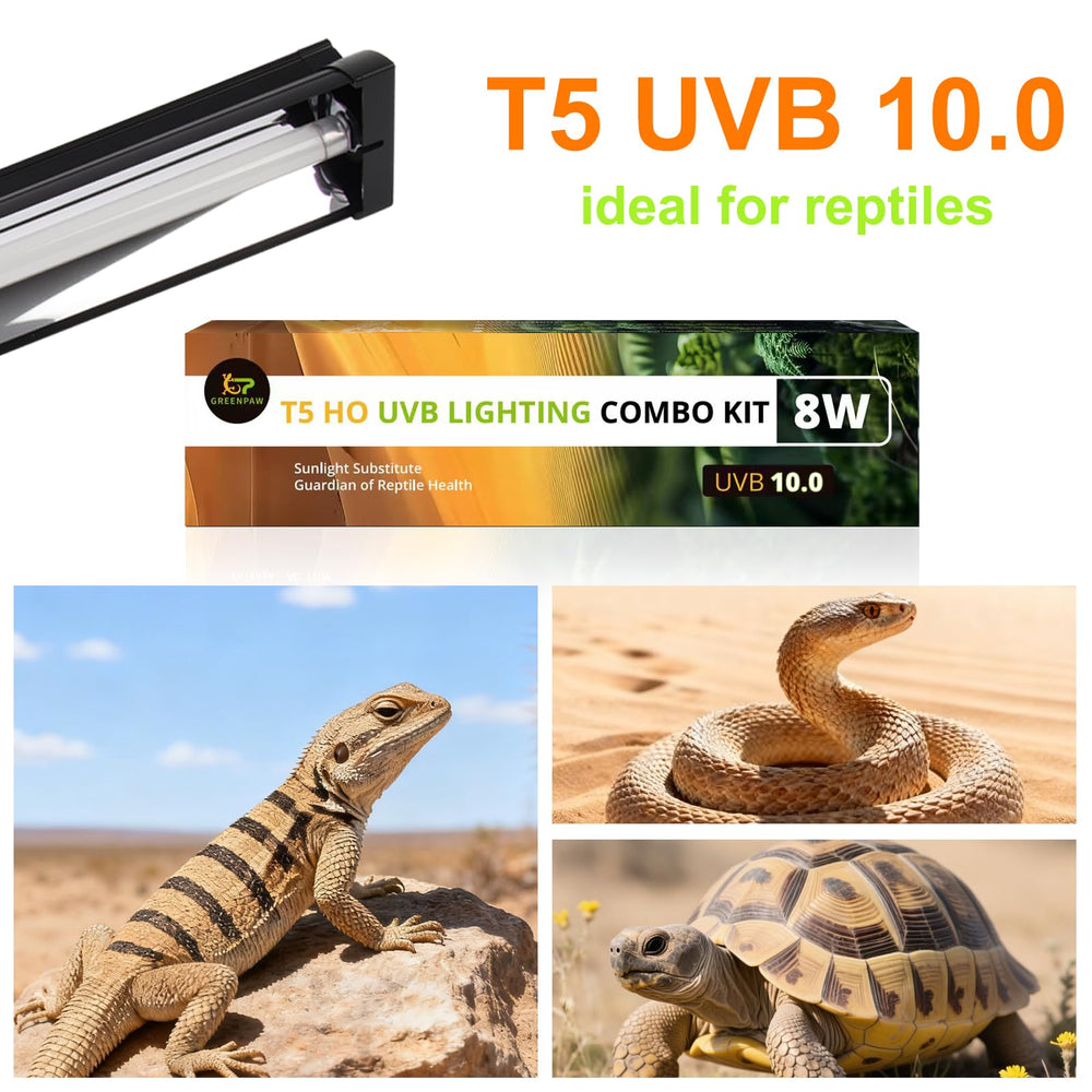 GREENPAW T5 UVB Light desert-reptile-setup in a bearded dragon enclosure